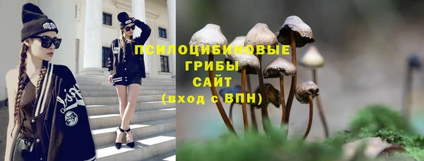 гидропоника Балахна