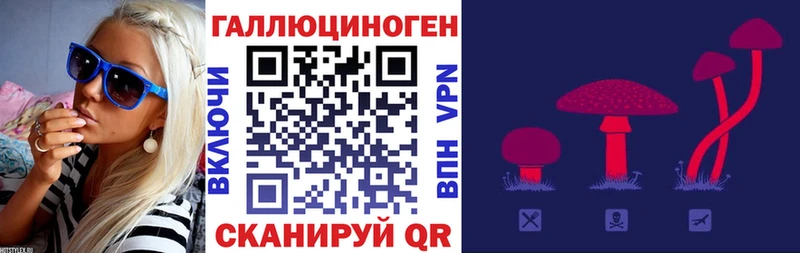 blacksprut Вуктыл Псилоцибиновые грибы Psilocybe